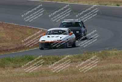 media/May-04-2024-Lucky Dog Racing (Sat) [[d39539b3f3]]/Race Pics/1015am (Turn 2)/